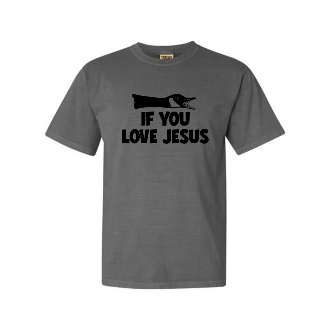 Honk If You Love Jesus Tee